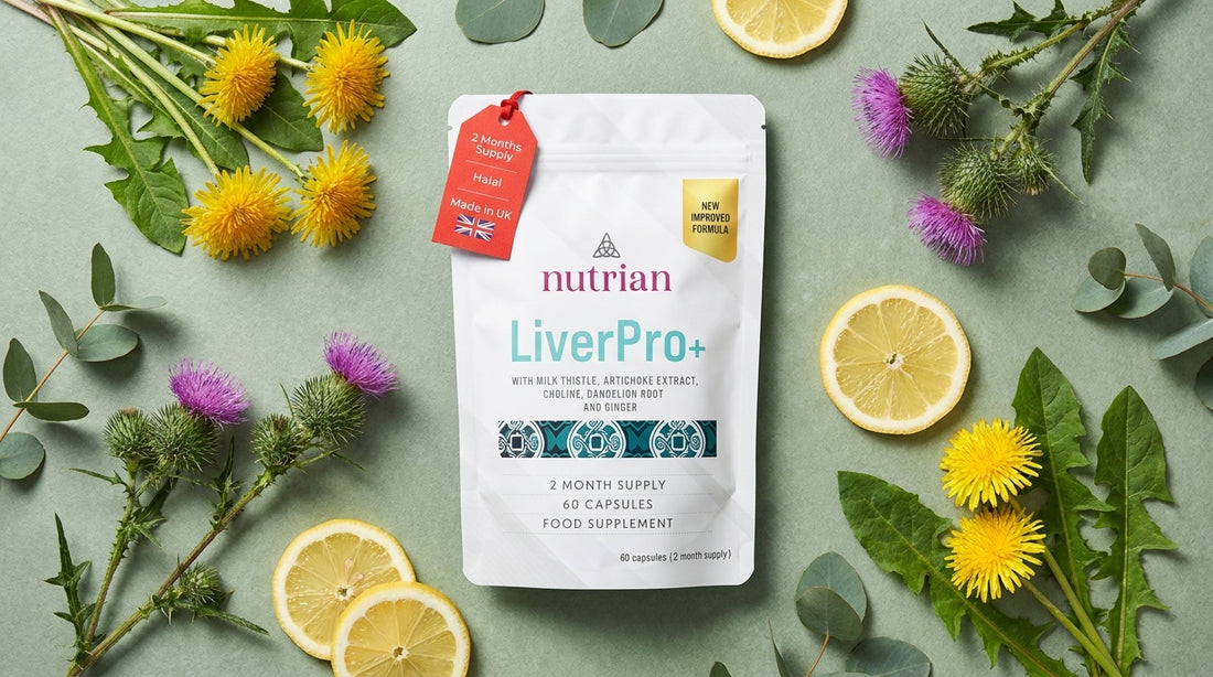 Liver Support Supplement: How Nutrian Liver Pro+ Helps