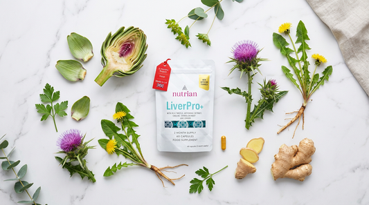 Liver Detox Supplement UK: Why Your Liver Needs Support