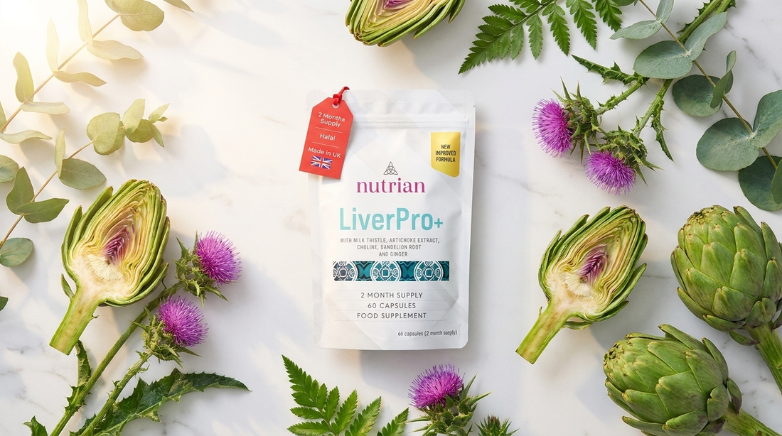 Liver Support Supplement UK: A Guide to Liver Health