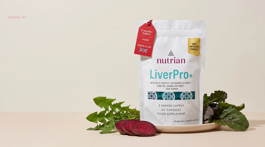 What Does the Liver Do? A Clear Guide for UK Adults