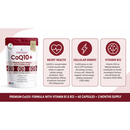 CoQ10+ benefits: heart health, cellular energy and Vitamin B12 for neurological function