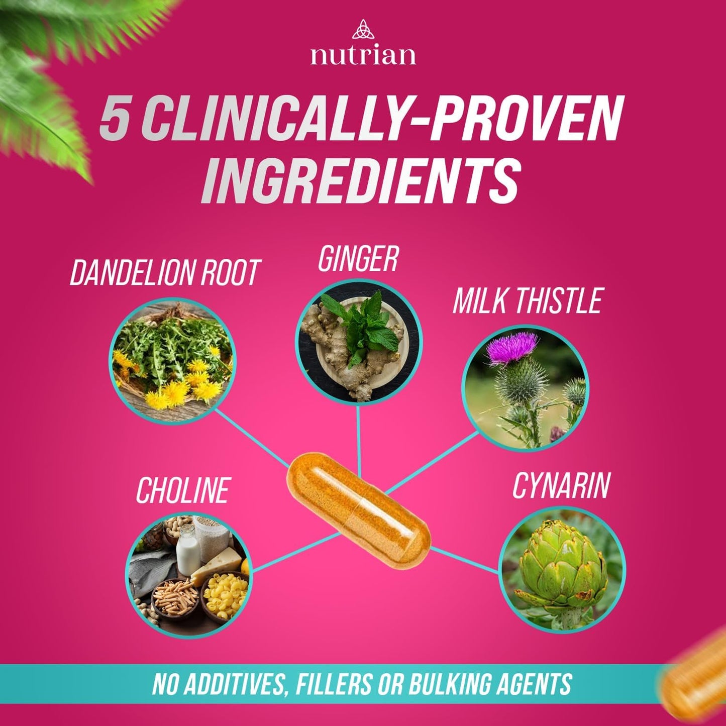 Nutrian Liver Pro+ – Liver Cleanse Detox Supplement - 60 Veg Caps